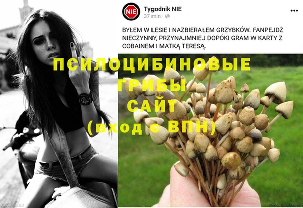 дмт Белокуриха