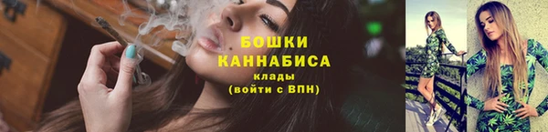 дмт Белокуриха