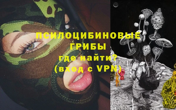 дмт Белокуриха