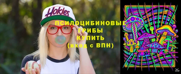 дмт Белокуриха