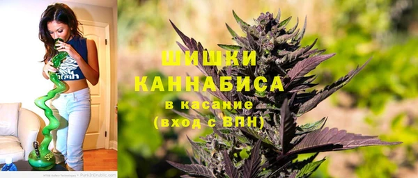 дмт Белокуриха