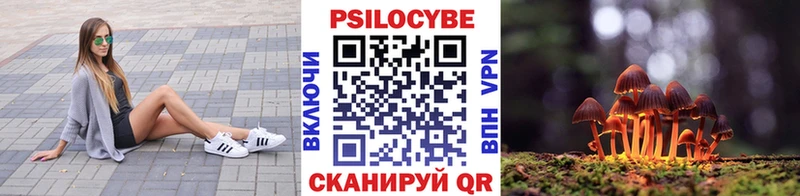 omg онион  Кириши  Галлюциногенные грибы Psilocybe  хочу  